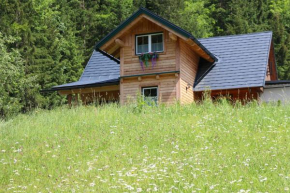 Forstauer's Teichalm, Gams Bei Hieflau, Österreich